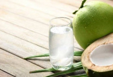 Manfaat Air Kelapa untuk Ibu Hamil, Minuman Alami yang Membantu Menjaga Hidrasi dan Kesehatan Janin