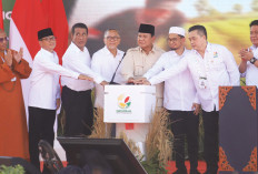 Gubernur Sumsel Luncurkan GSMP di Lahat