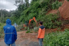 Diguyur Hujan, OKU Selatan Dilanda Tanah Longsor dan Banjir