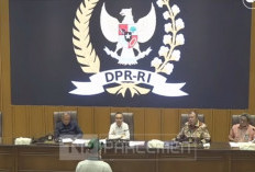 Mengapa Baru Sekarang DPR Terima BEM?