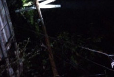 Gerak Cepat PLN Pulihkan Listrik Akibat Cuaca Ekstrem di OKU
