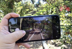 Masih Layak Beli di 2025! Ini Alasan iPhone 11 Pro Masih Jadi Primadona 