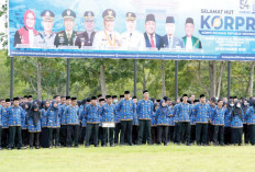 Empat ASN di Banyuasin Dipecat