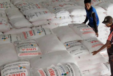 Harga Pupuk Subsidi di OKU Selatan Melambung, Petani Mengeluh 