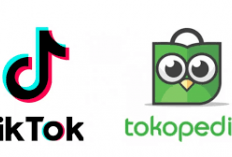 Kena PHK! pihak Tokopedia TikTok Shop, ini besaran kompensasi mantan karyawan