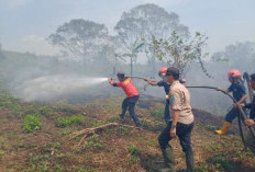 Cuaca Panas Ekstrem, Kasus Kebakaran di OKU Selatan Meningkat