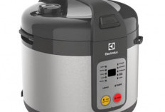 5 Penyebab Rice Cooker Berbau dan Cara Mudah Mengatasinya Agar Tetap Harum