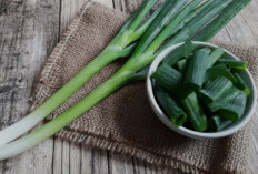 Rahasia Sehat di Balik Daun Bawang yang Jarang Diketahui
