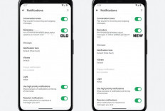 WhatsApp Perkenalkan Fitur Pengingat Baru untuk Status dan Pesan Belum Terbaca