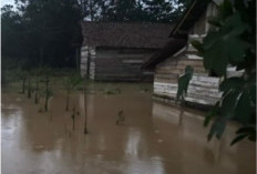 Sungai Burnai Meluap, Warga Terpaksa Mengungsi
