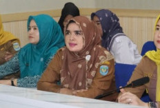 OKU Selatan Targetkan Nol Kematian Ibu Hamil