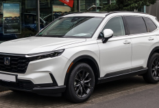 Honda CR-V 2025, Tawarkan Varian Hybrid Canggih