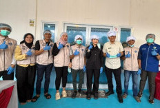 Agar Efektif dan Tepat Sasaran, Tinjau Langsung Dapur Makan Bergizi Gratis