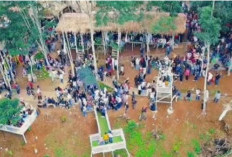 Destinasi Baru OKU Selatan, Kampung Wisata Kenzo Diminati Wisatawan