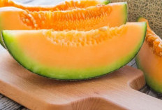 7 Manfaat Luar Biasa Melon Jingga untuk Kesehatan Anda