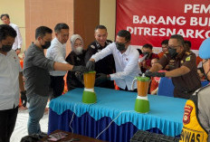Ngeri! Narkoba Senilai Rp2,8 Miliar Dimusnahkan Polda Sumsel, Selamatkan 62 Ribu Jiwa