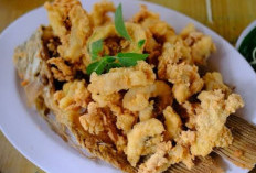Manfaat Telur Ikan Kakap untuk Tubuh Sehat
