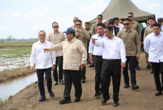 Presiden Prabowo Tanam Padi Serentak di Sumsel
