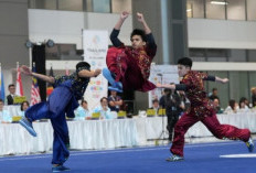 Lampaui Target Medali Emas, Wushu Indonesia Pertahankan Juara Umum SEA Games 2025 