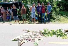 Sopir Truk Kabur, Seorang Pelajar Tewas