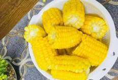 Manfaat Menakjubkan Jagung Rebus untuk Kesehatan