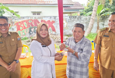 Penderita DBD Meningkat Dratis di Palembang