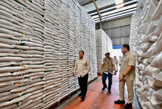 Prabowo Sidak Gudang Bulog, Pastikan Stok Beras Aman