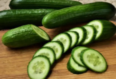 Bukan Cuma Segar! Ini Manfaat Hebat Timun untuk Kesehatan