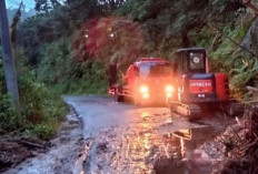 Longsor di Sungai Are, BPBD OKU Selatan Bergerak Cepat Buka Akses Jalan