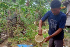 Program GSMP Bantu Warga Tekan Biaya Dapur dan Tambah Penghasilan