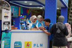 PLN Luncurkan Program Gelegar SwaCAM, Permudah Pelanggan Catat Pemakaian Listrik Mandiri