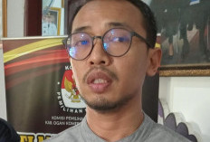 Tanpa Calon Bupati-Wakil Bupati Jalur Independent