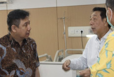 Pilihan Baru