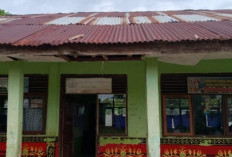 Plafon Hampir Roboh, SD Negeri Sinar Danau Minta Perbaikan Darurat
