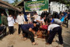 Kurban Spesial dari Presiden: Sapi Jumbo Bikin Panitia di OKU Kewalahan