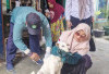 Cegah Rabies, Jemput Bola Vaksinasi Hewan dari Rumah ke Rumah