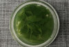 Resep Bening Daun Katuk, Hidangan Sehat dan Bergizi untuk Ibu Menyusui