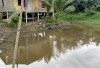 Buaya Sepanjang 4 Meter Gegerkan Warga