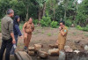 Menuju Wisata Budaya Unggulan, Candi Jepara di OKU Selatan Segera Dipugar