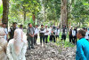 Pohon Duku Diserang Penyakit Merangas 