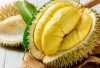 Manfaat dan Efek Samping Durian untuk Kesehatan