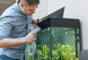Tips Efektif Membuat Filter Aquarium agar Air Tetap Jernih dan Ikan Sehat