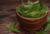 Khasiat Daun Salam, Rempah Aromatik Penjaga Tubuh
