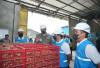 PLN UP3 Jambi Energize Electrifying Agriculture 1.730 kVA untuk PT Agro Bumi Sumatera