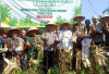 Kolaborasi Miliki Lahan Jagung di OKU Seluas 200 Haktere