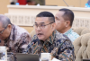 Wamen Ossy Dorong Penguatan Peran Kepala Daerah dalam GTRA
