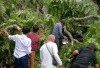 Pohon Tumbang Timpa Gedung Sekolah Saat Siswa Belajar