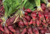 Cara Mengonsumsi Bawang Dayak yang Benar: Panduan Aman untuk Mendapatkan Manfaat Herbalnya