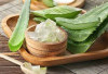 Menguak Khasiat Lidah Buaya, Herbal Sederhana dengan Manfaat Luar Biasa