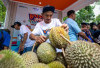 Tips Memilih Durian yang Manis dan Tekstur Sempurna